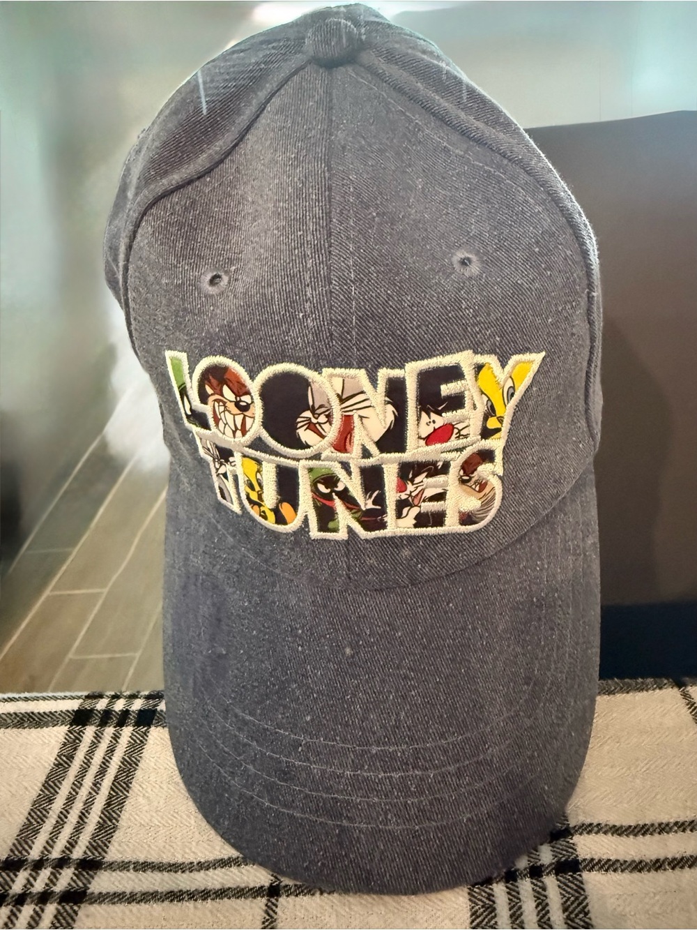 Warner Bros. Navy Looney Tunes Six Flags Cap